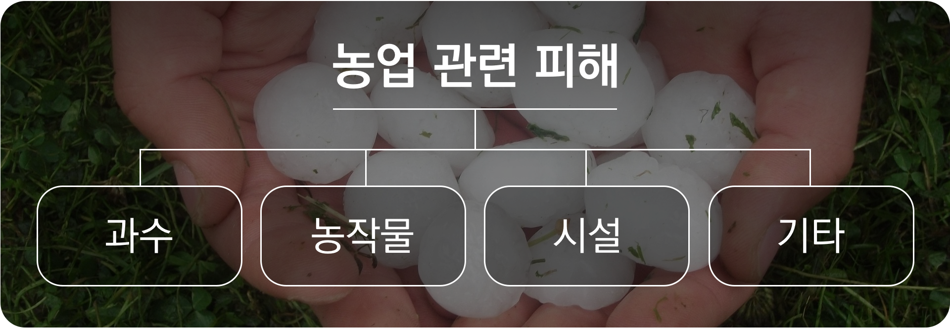 농업피해